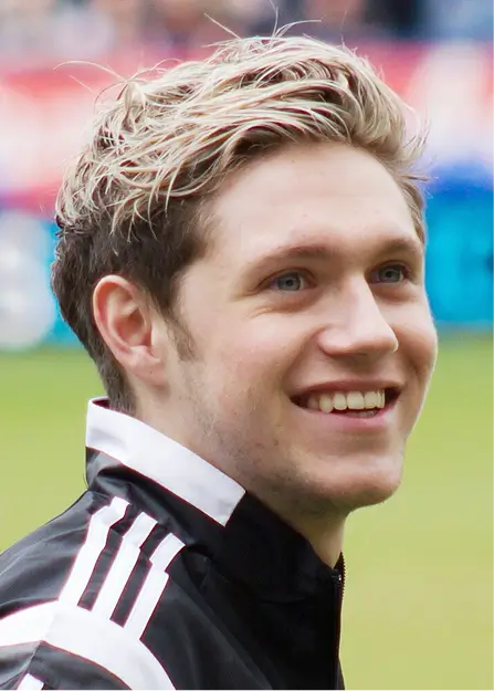 Niall Horan Teeth Veneers